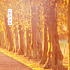 2120684_autumn1 (100x100, 23Kb)