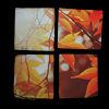 2120684_autumn5 (100x100, 17Kb)