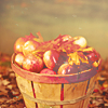 2120684_autumn8 (100x100, 21Kb)