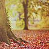 2120684_autumn19 (100x100, 25Kb)