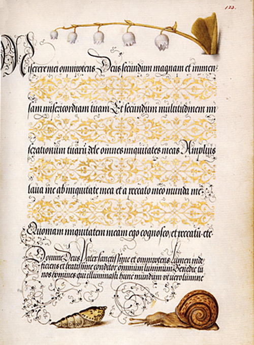 folio123-hoefnagel (500x679, 177Kb)