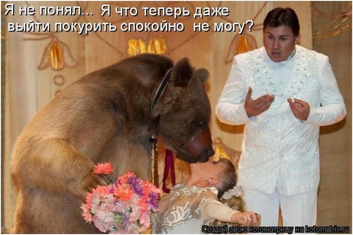 Маша не выйдет. Мишка задолбал. Маша достает мишку. Маша и медведь" выйдет. Медведя выбесили.
