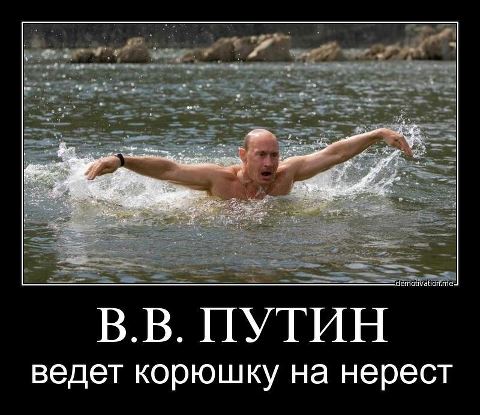 74536_600 (480x415, 40Kb)