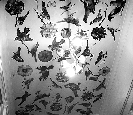 decoupage-ceiling-via-craftzine (432x374, 112Kb)