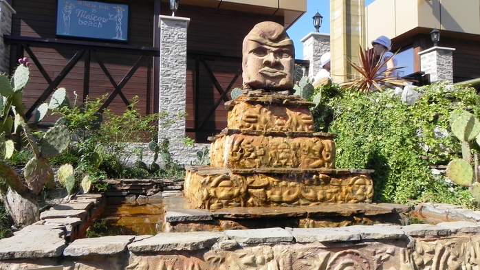 DSCN7948 (700x393, 272Kb)