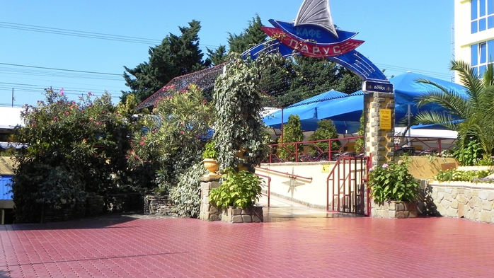 DSCN7960 (700x393, 259Kb)