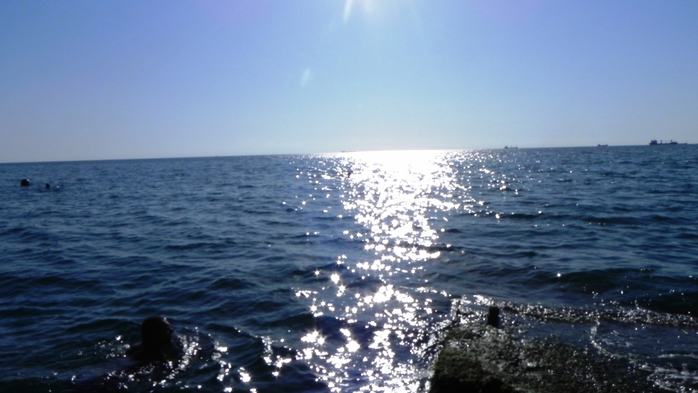 DSCN7987 (700x393, 194Kb)