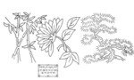  bonsai (700x420, 130Kb)