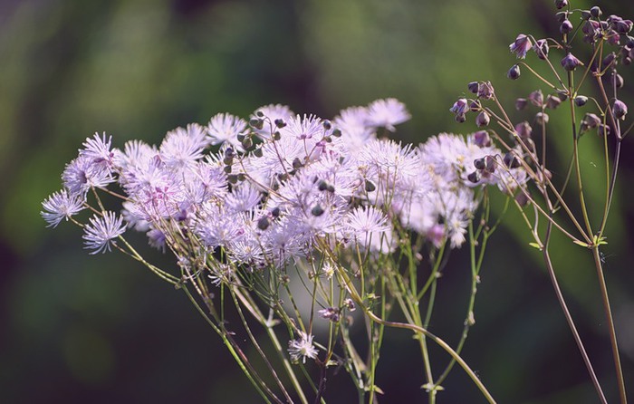 0_5f8da_822fa68e_XL (700x446, 84Kb)