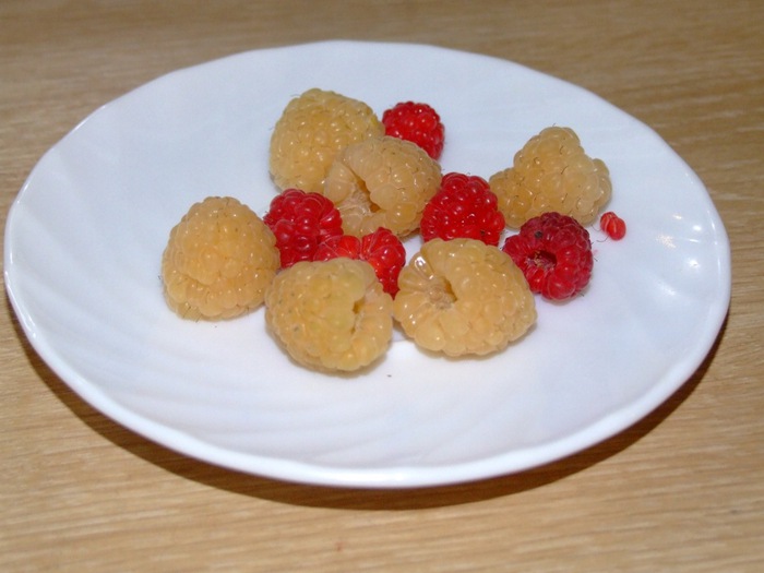 1132965_DSCF4040 (700x525, 76Kb)