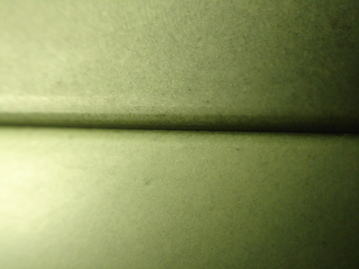 DSC09636 (700x525, 58Kb)