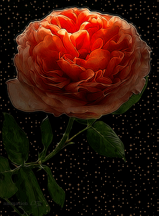 0_6b5d2_9f4043d3_XL (516x700, 1389Kb)