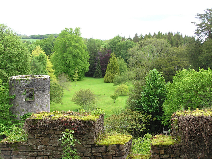 BlarneyCastle076 (700x525, 473Kb)