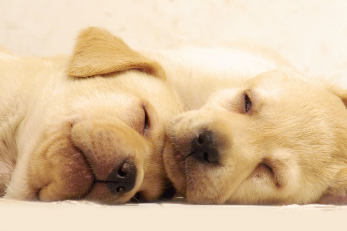 3623822_128 (700x466, 181Kb)