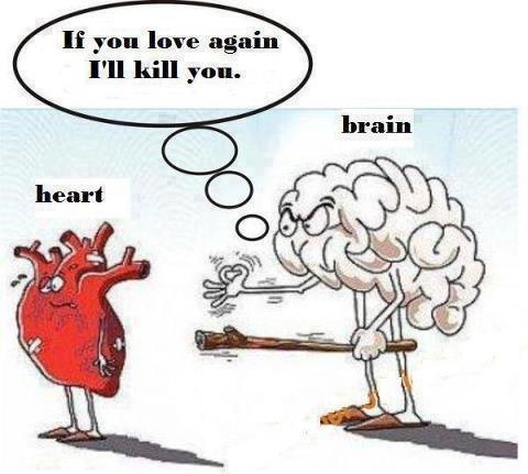 5044665_fb1262a36c (480x431, 60Kb)