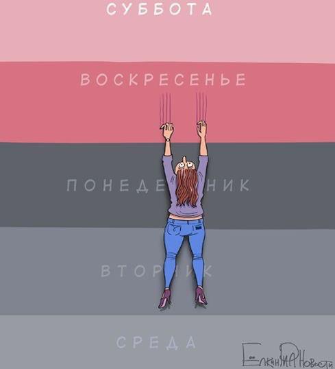 550659_443847858984539_443308624_n (489x538, 14Kb)