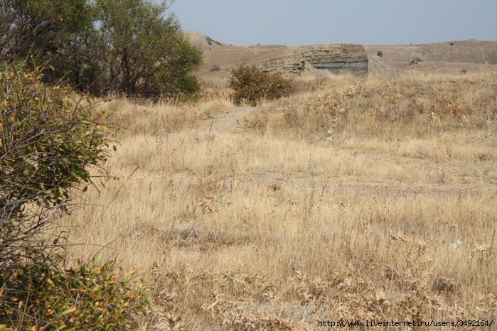 IMG_0019 (700x466, 350Kb)