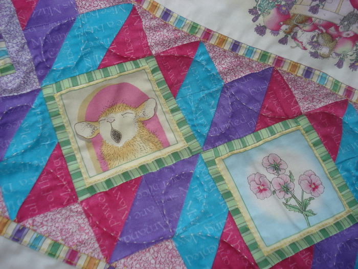 DSC07118 (700x525, 174Kb)