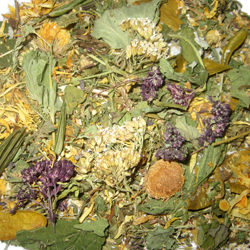 643384_ginegologia_herbals_l (250x250, 103Kb)