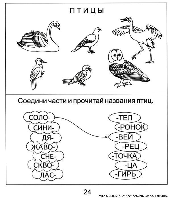 Задания в картинках по окружающему миру 3 класс