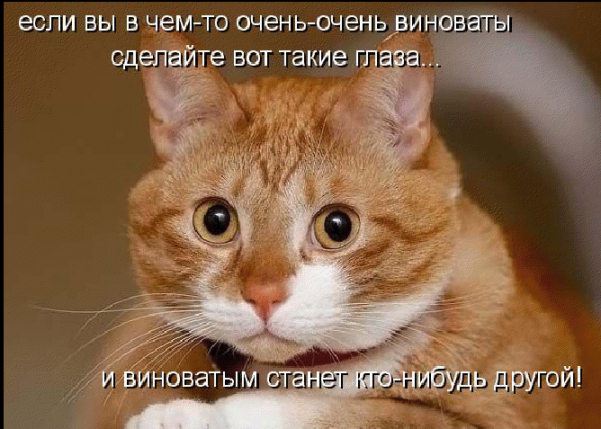 22 (601x429, 606Kb)