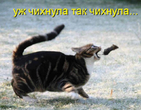 25 (601x469, 585Kb)