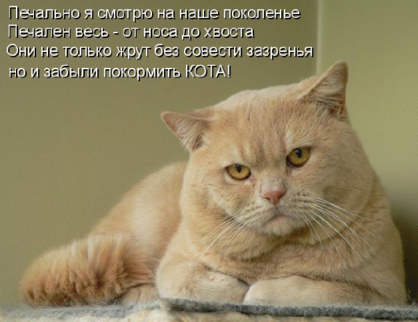 44 (602x465, 597Kb)