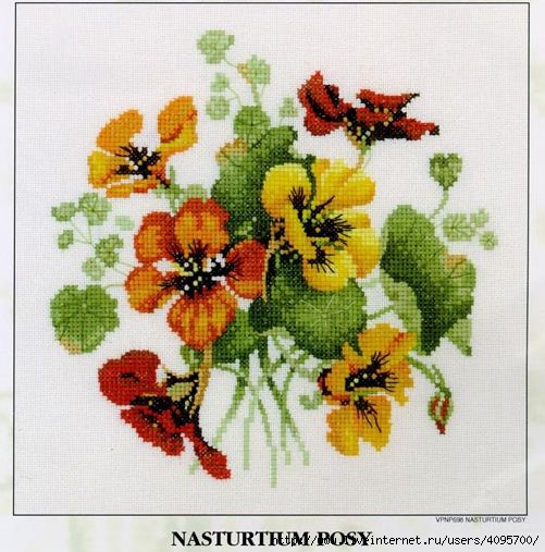 4095700_66436794_DMC_VPNP698_Nasturtium_Posy (501x507, 157Kb)