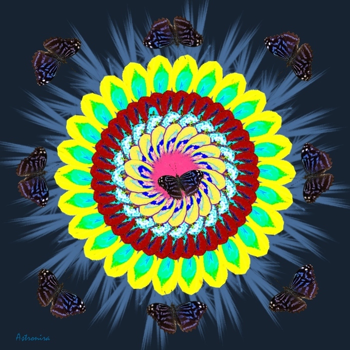 4134176_New_Mandala_Butterfly_Watermark (700x700, 272Kb)