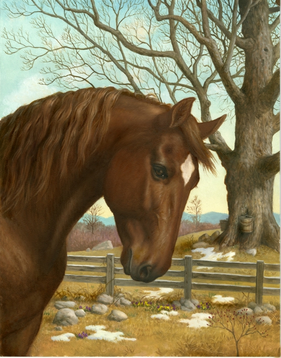 AH007_Morgan Horse (549x700, 326Kb)