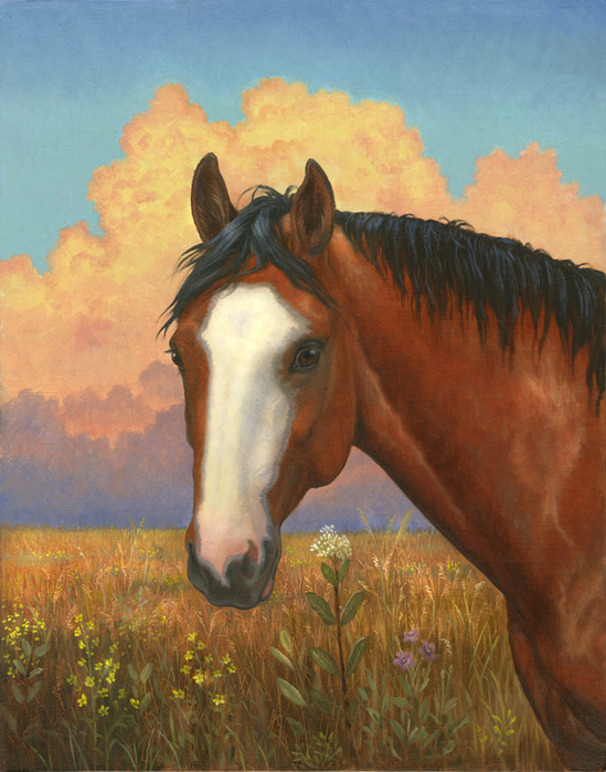 AH015_Quarter Horse (549x700, 174Kb)