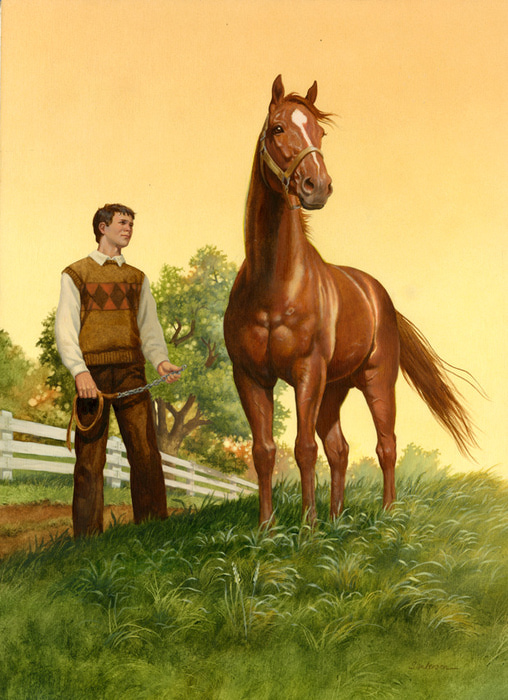 AH031_Man-O-War Quarter Horse (508x700, 171Kb)