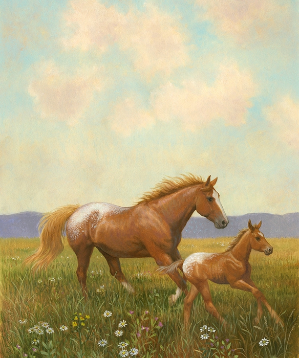 AH040_Appaloosa Mare and Foal Horses (584x700, 320Kb)