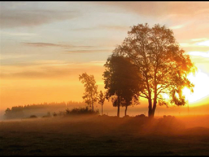 viewer (700x525, 607Kb)