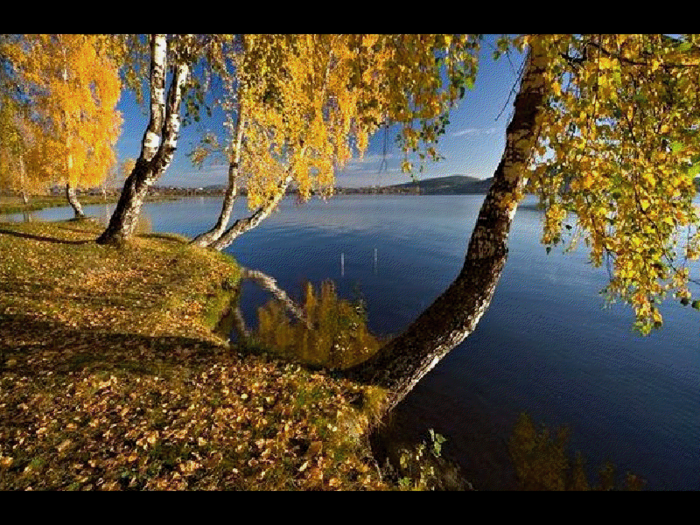 viewer (3) (700x525, 696Kb)