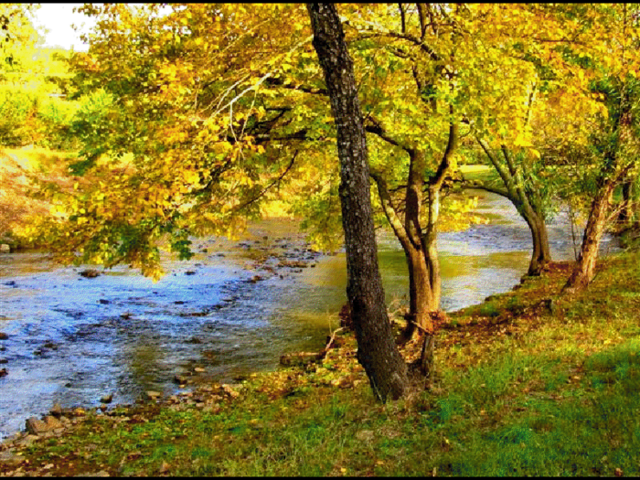 viewer (4) (700x525, 789Kb)