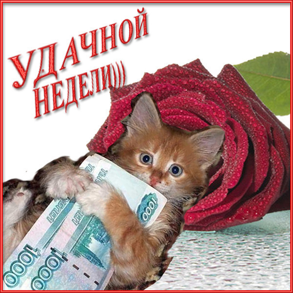   (600x600, 138Kb)