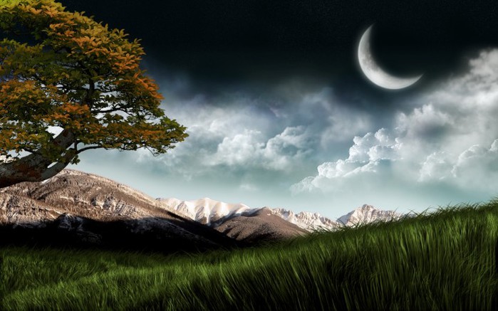 moon-over-field-wallpapers_10702_1680x1050-720x450 (650x437, 80Kb)