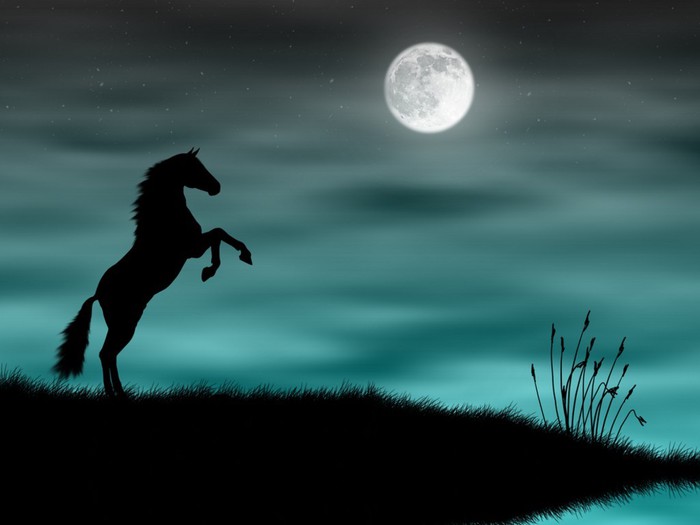 wild-horse-silhouette-in-a-blue-moonlight (650x525, 39Kb)