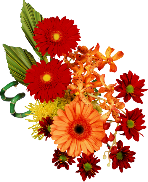 87697637_65ce6f7311cf (500x611, 471Kb)