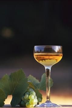 1700_content_img (237x355, 9Kb)