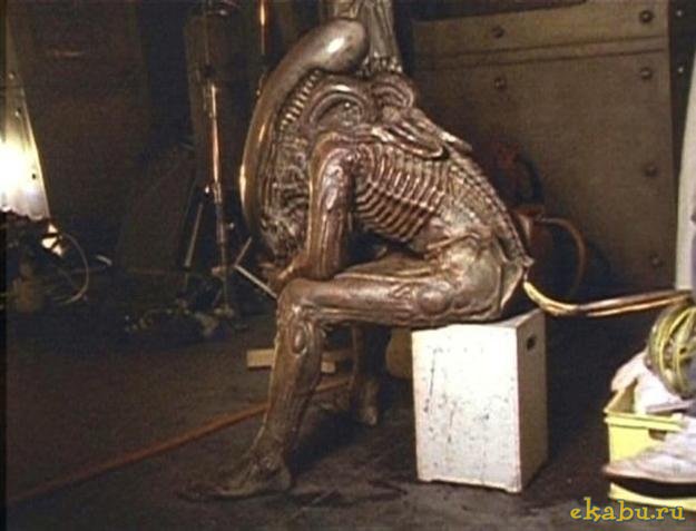 1351079259_horror_movie_02 (625x477, 46Kb)