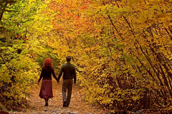 92232823_b_post9137680 (600x399, 142Kb)