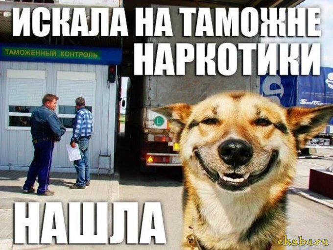 1351527093_podb_040 (680x510, 81Kb)