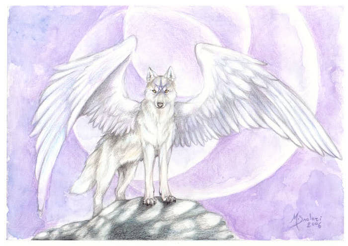 http://img0.liveinternet.ru/images/attach/c/6/93/462/93462190_Star_Wolf_by_m_lupus.jpg