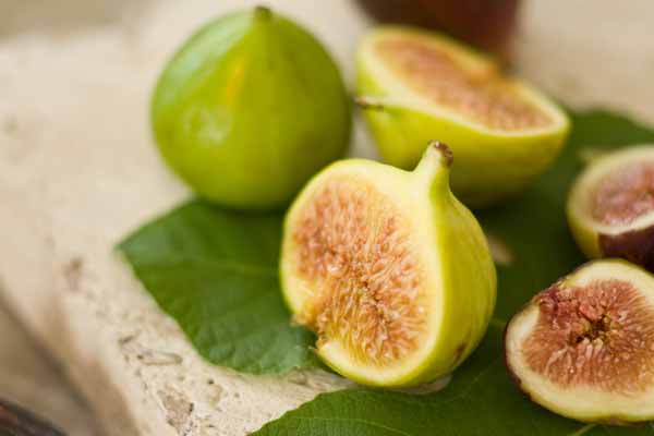 figs1 (600x400, 34Kb)