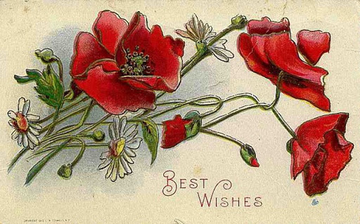 http://img0.liveinternet.ru/images/attach/c/6/93/485/93485444_freevintagemothersdaycardsredpoppies.jpg