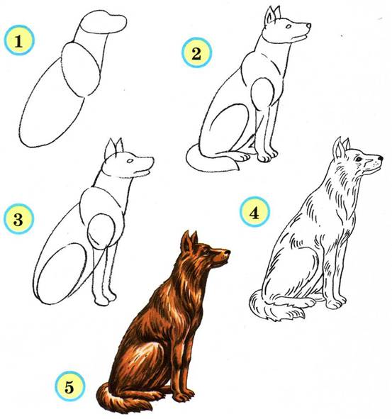 Как нарисовать собаку на компьютере