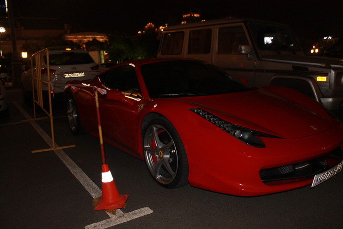 IMG_1318 (700x466, 66Kb)