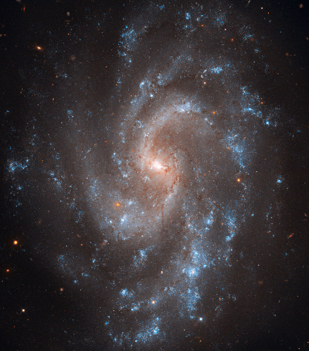 141 (616x700, 399Kb)